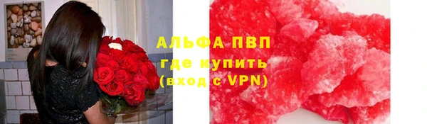 ECSTASY Покачи
