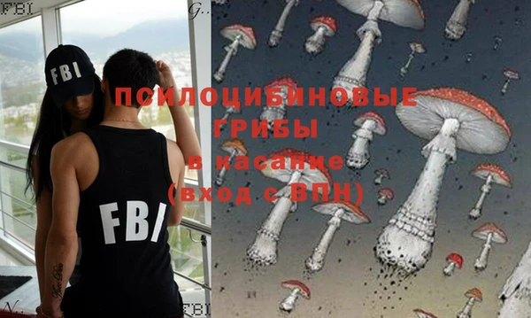 ECSTASY Покачи