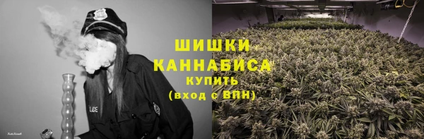 ECSTASY Покачи